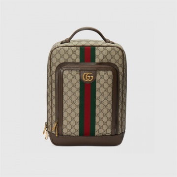 Gucci 745718 FABYY 9744 Ophidia系列中号GG背包